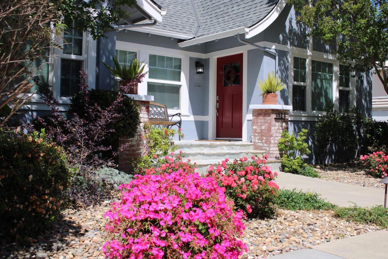 Garden Oasis In East